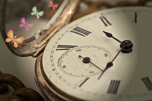 zsebora_cikkep20130602-27858-rgafdx.original