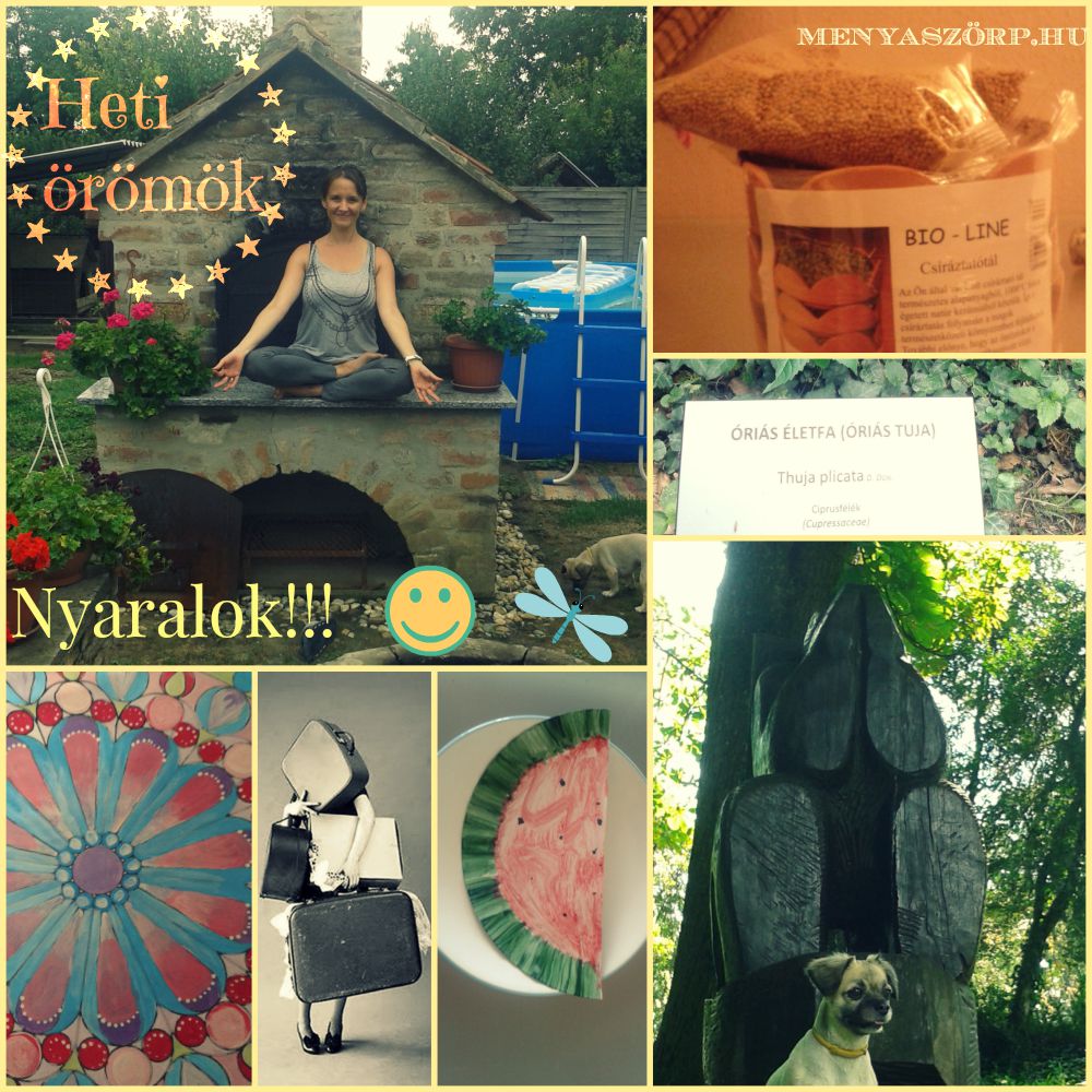 PicMonkey Collage