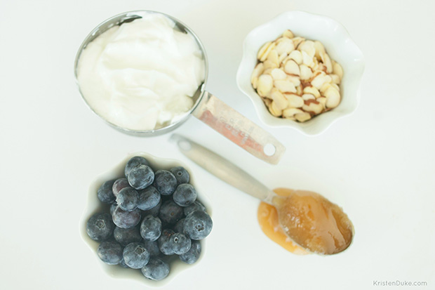 4-ingredient-protein-bites