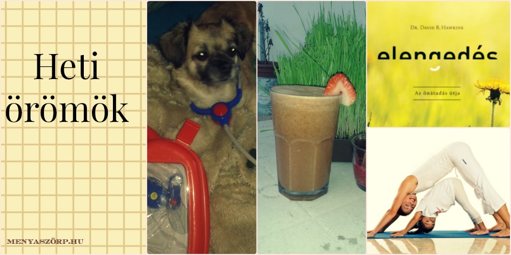PicMonkey Collage