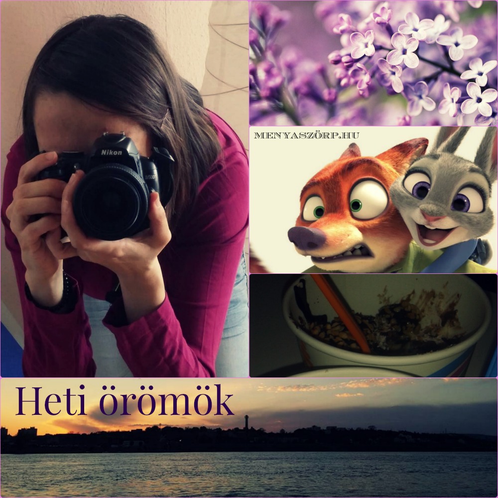 PicMonkey Collage